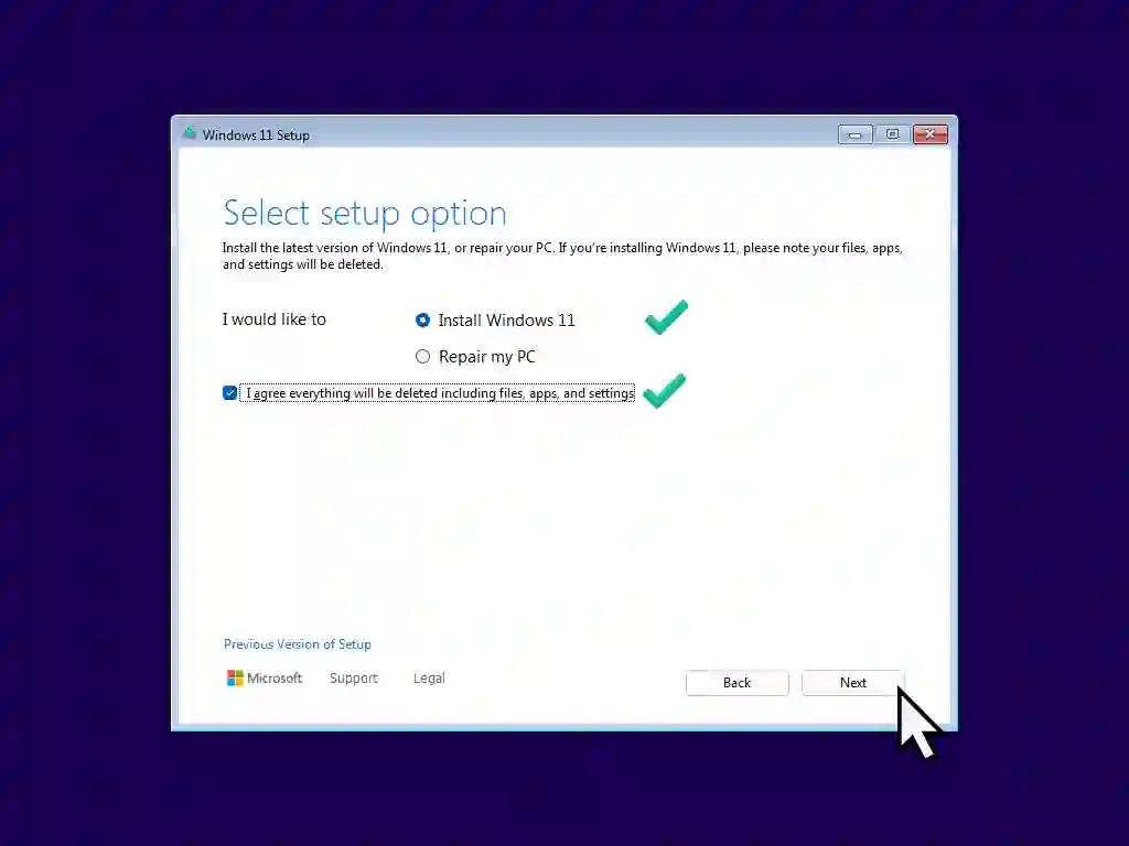 Windows 11