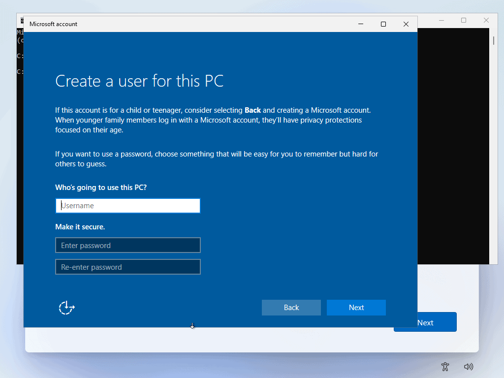 Windows 11