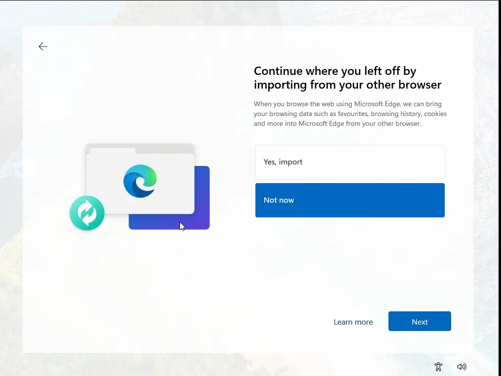 Windows 11