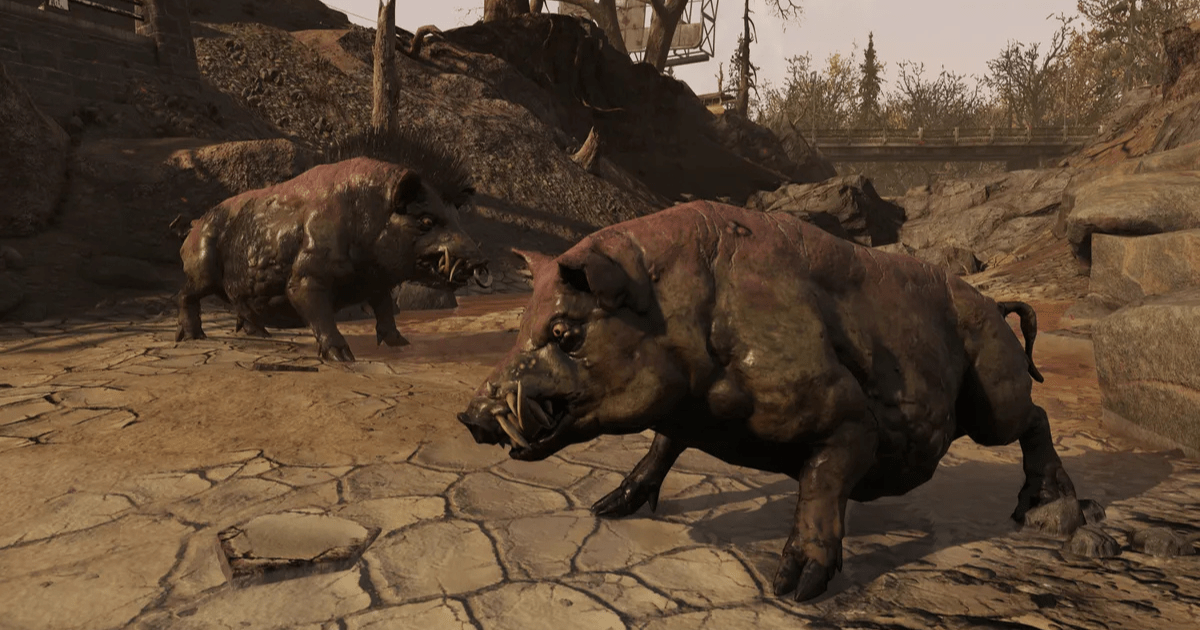 Pet Radhogs Fallout 76