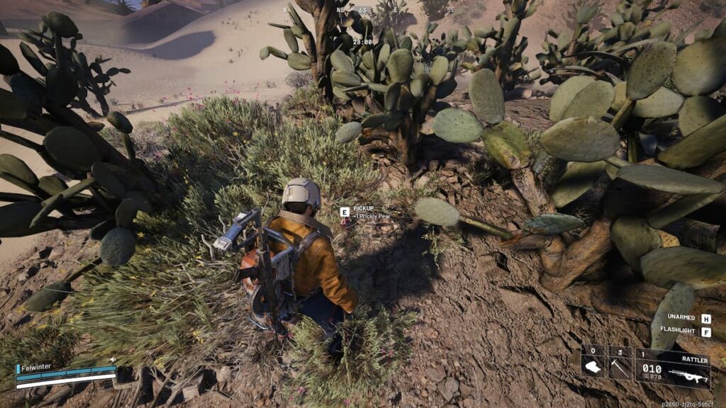 Prickly Pears