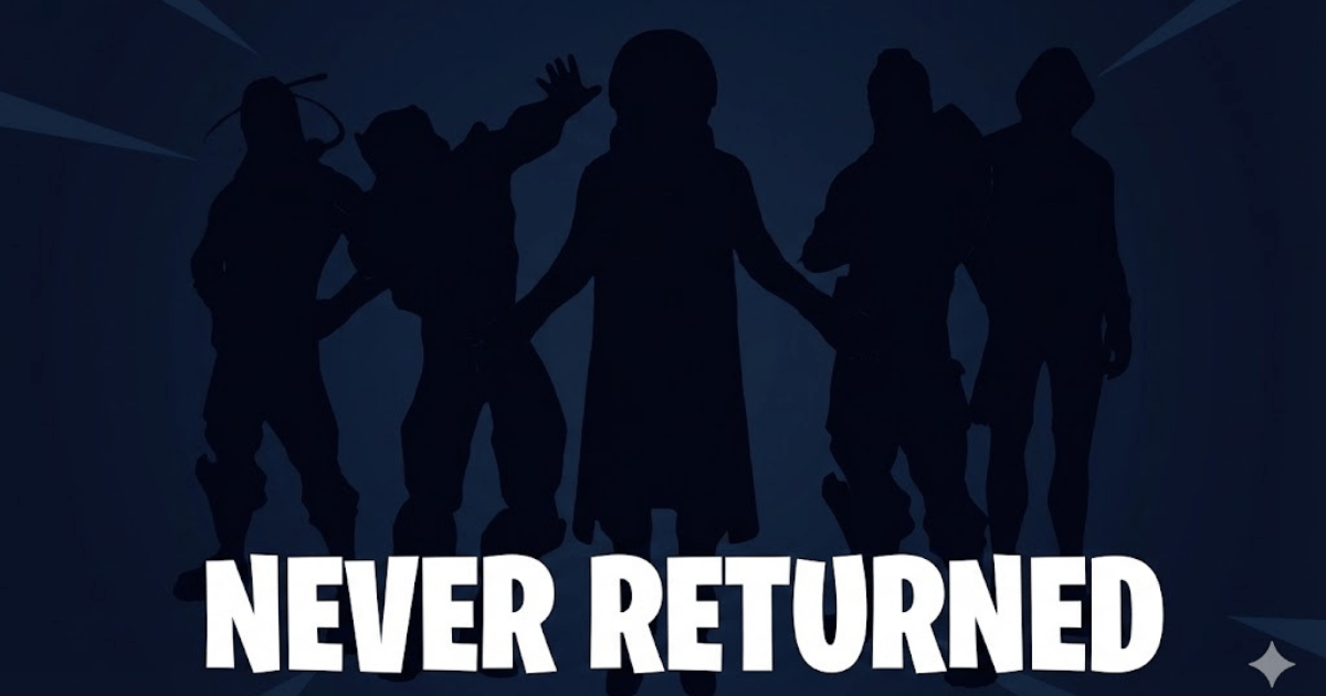 Fortnite Rare Skins Silhouette with text Never Returned